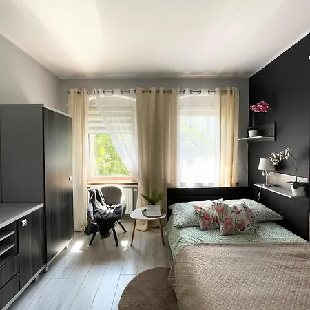 Smialego Centrum Apartment *